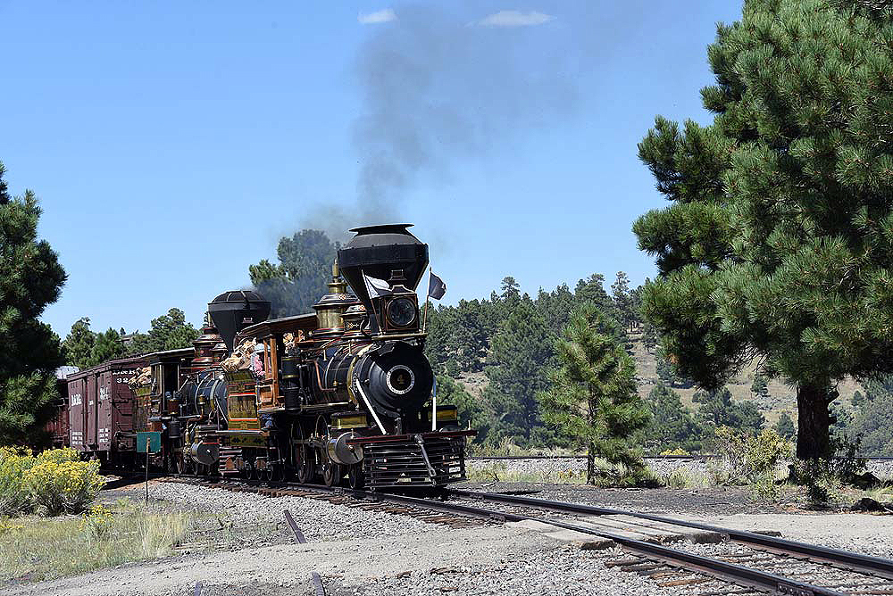 Closer look of a double-headed steam passenger train in a prairiegrass-pine forest area.
