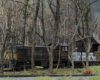 A heavily weathered diesel switcher moves through bare trees under a cloudy sky
