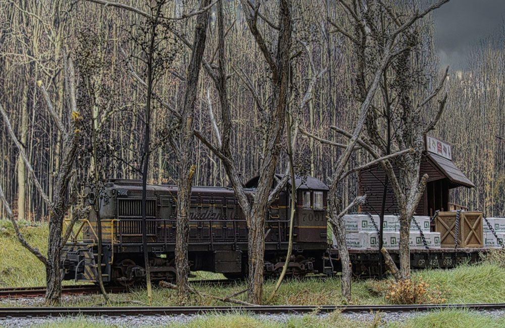 A heavily weathered diesel switcher moves through bare trees under a cloudy sky