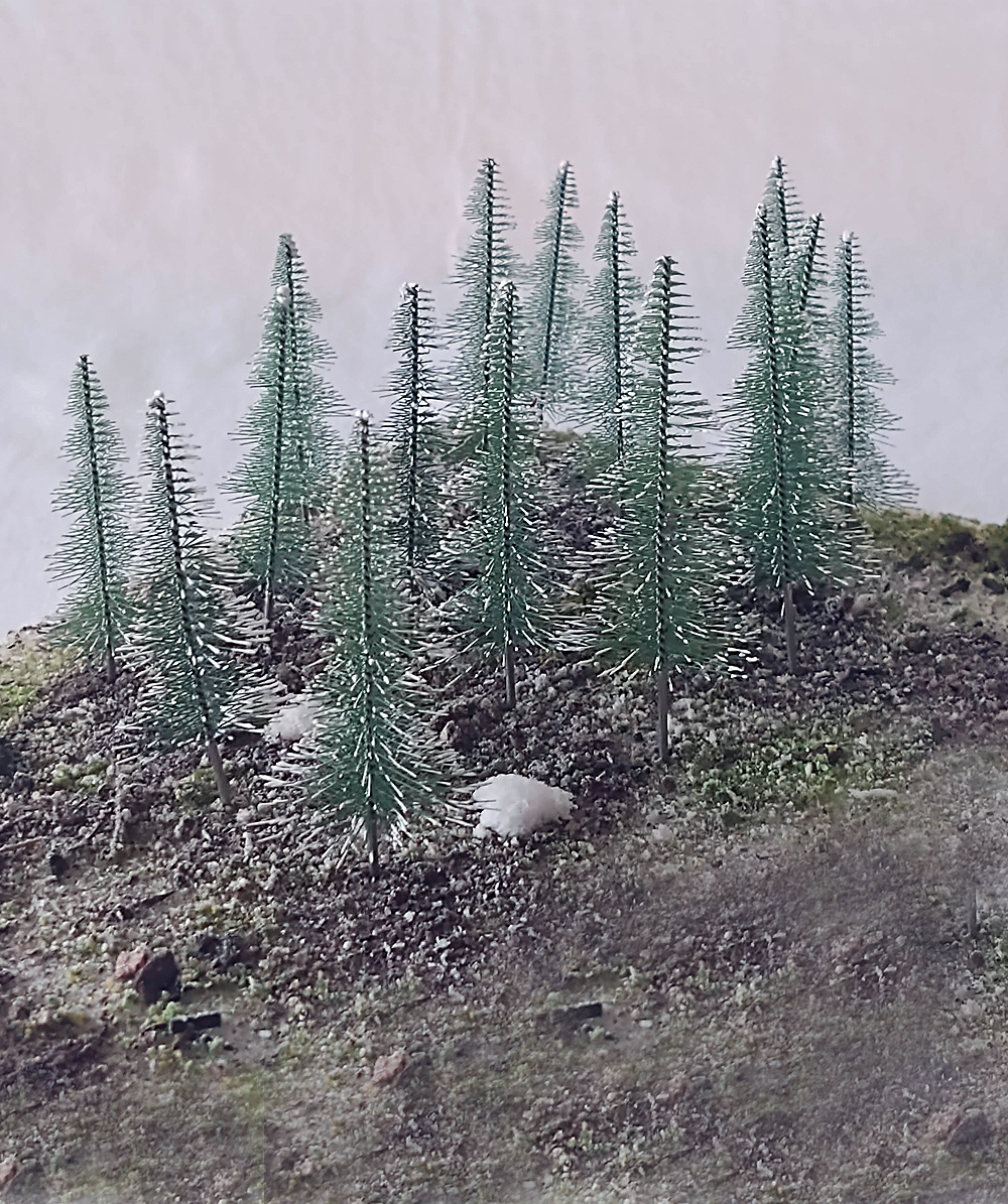 Assorted snow-covered pine trees.