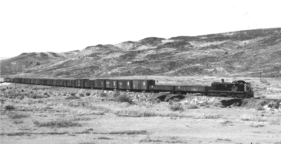 Black and white stripped locomotive at the head of a long freight train in an arid landscape.