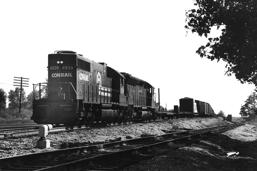 Diesel locomotives on freight train framed under trees