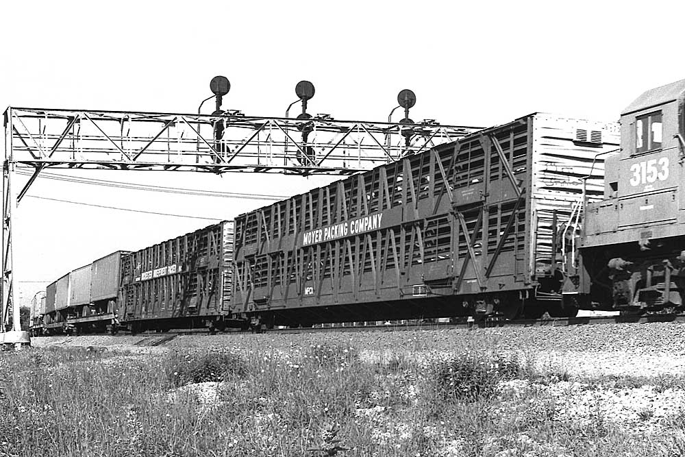 Slat-sided livestock cars behind diesel locomotive