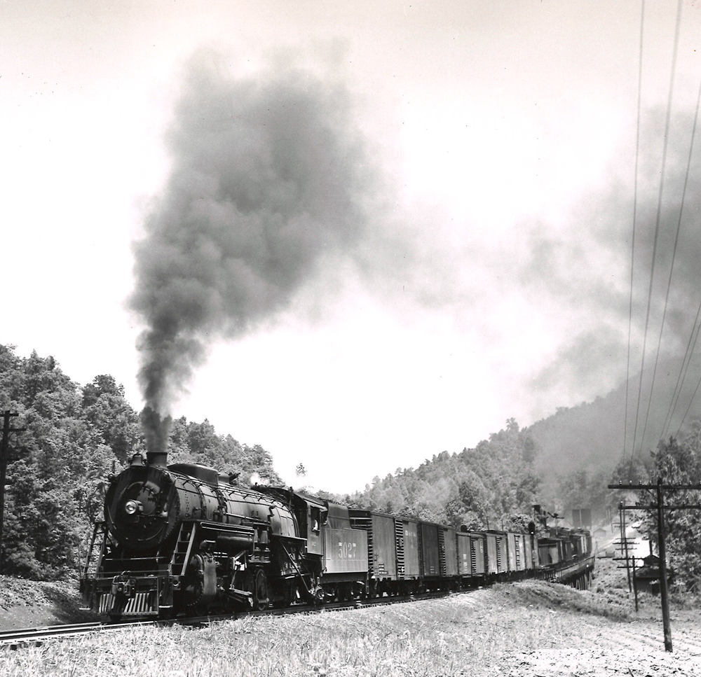 Large steam locomotive leads a train off a hill among leafed-out trees.