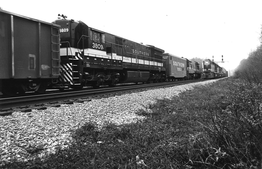 Diesel locomotive in the middle of a freight train.