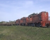Red diesel locomotives with cars of wood logs