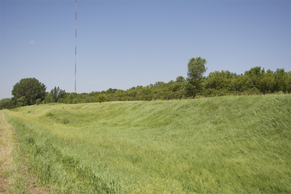 Grassy area with trees and antenna in background