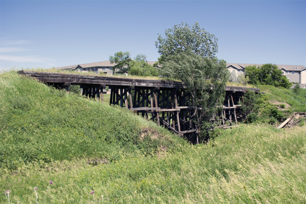 Wood bridge with tree growing in front