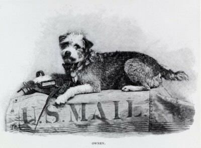Owney the Railroad Post Office Dog