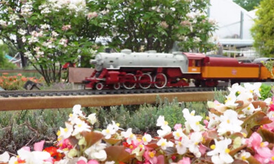 Garden Variety