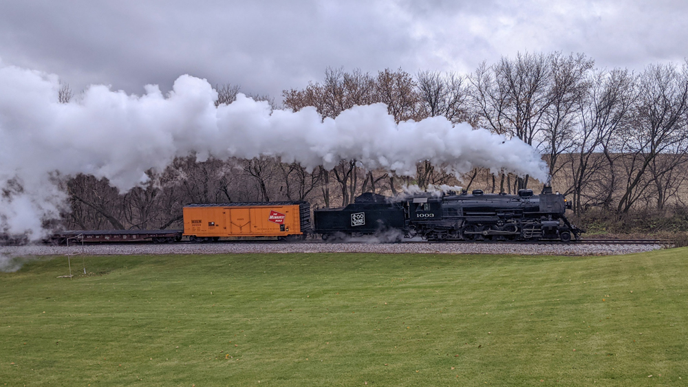 Steam engine with a freight train behind it speeds past a grassy field