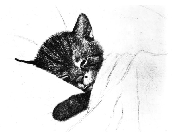 Five mind-blowing Chessie facts