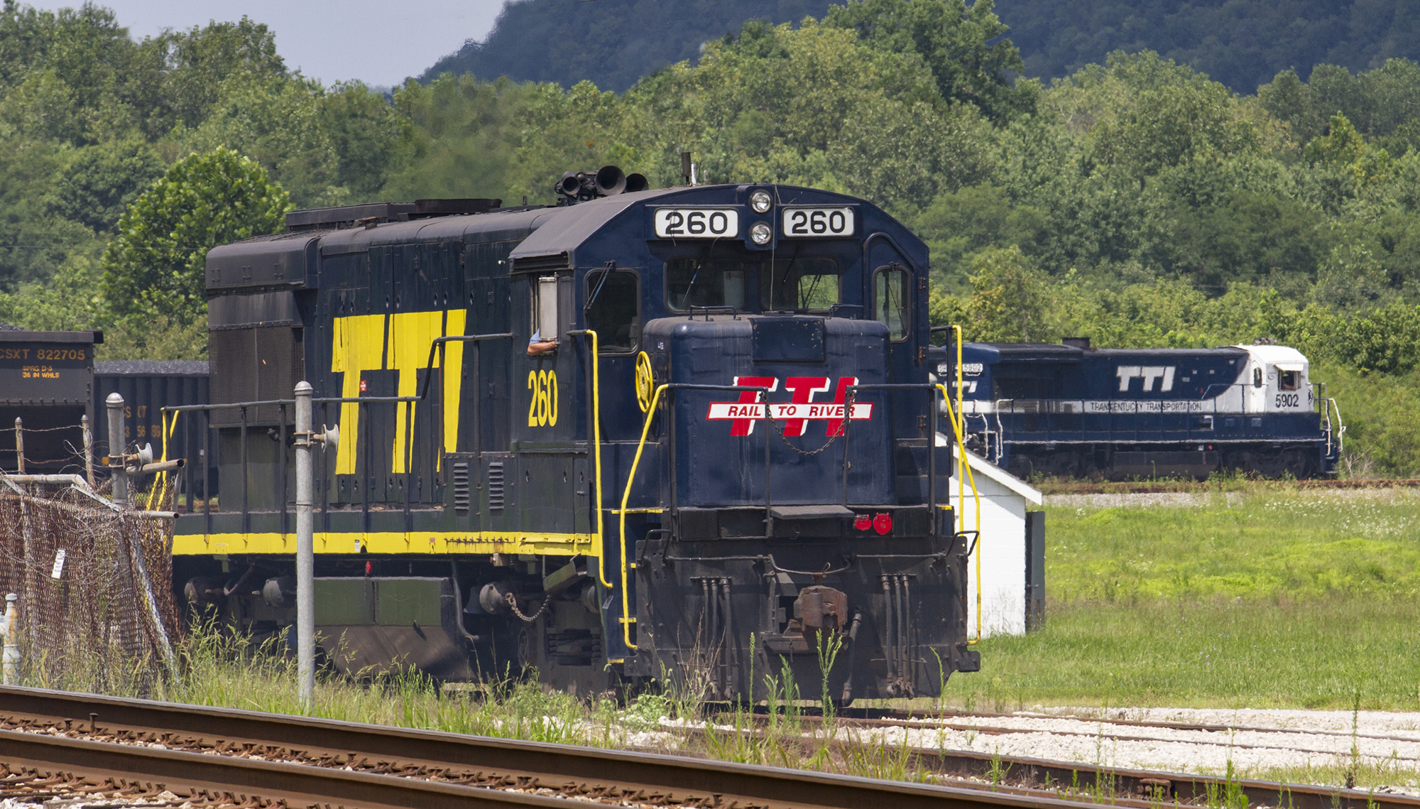 blue with yellow lettering on locomotive