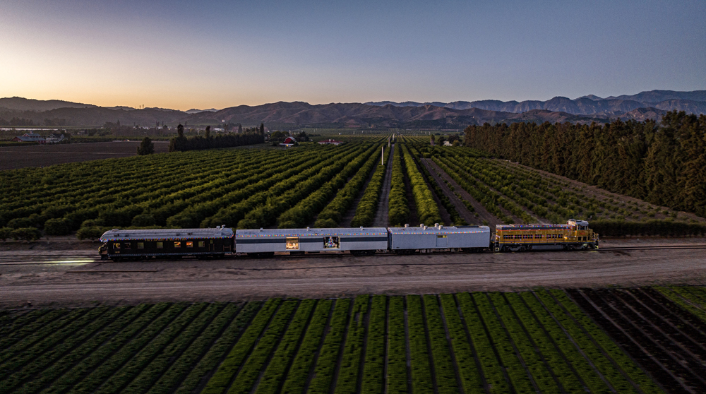 holiday passenger train in vineyard