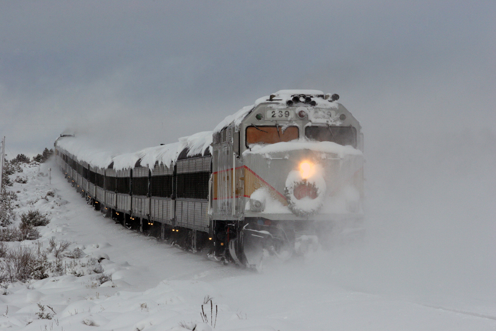 train covered in snow