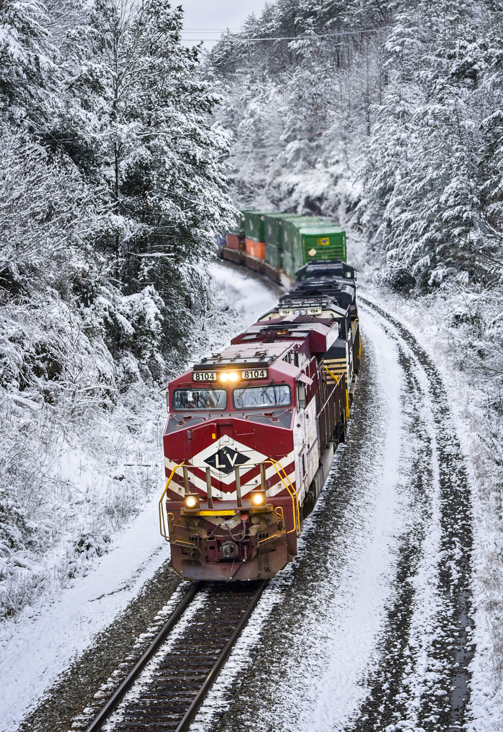 NS train in snow