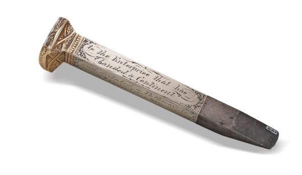 ‘Arizona Spike’ to be sold at auction