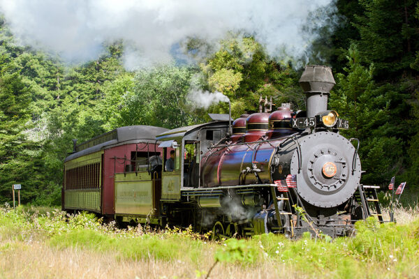 Court grants Skunk Train right of eminent domain