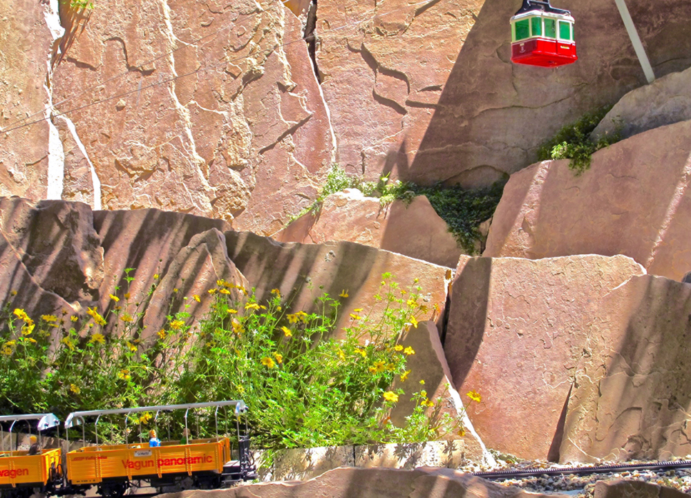 rocky landscape with flowers on garden railway