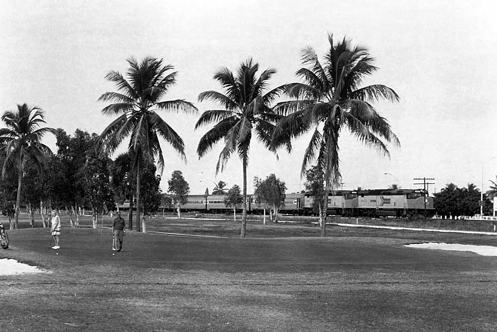 People golfing under palm trees with Amtrak Miami services train passing in distance