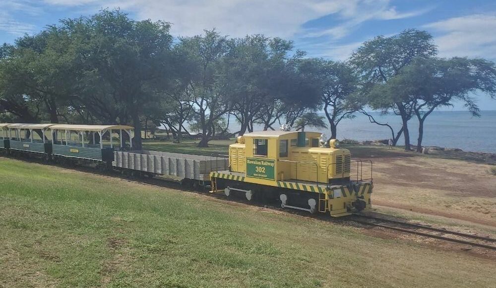 Diesel pulling passenger train next to the Pacific coast.