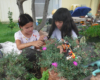 two children with dinosaur figures in garden railway