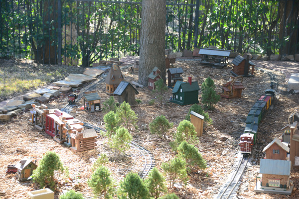 overview shot of garden railway with trees in background