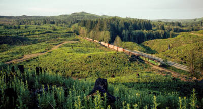 An engineer’s life: A happy Thanksgiving indeed