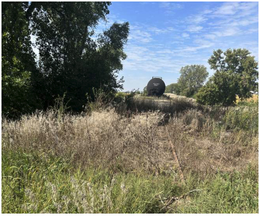 Overgrown rail line with tank car visible in distance