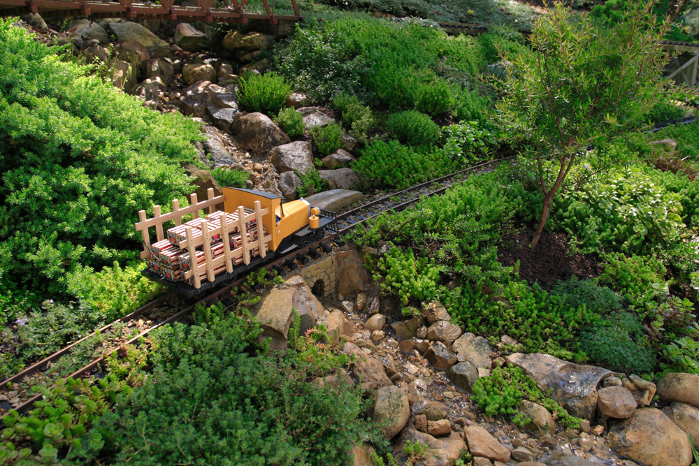 train on garden railway with greenery around it