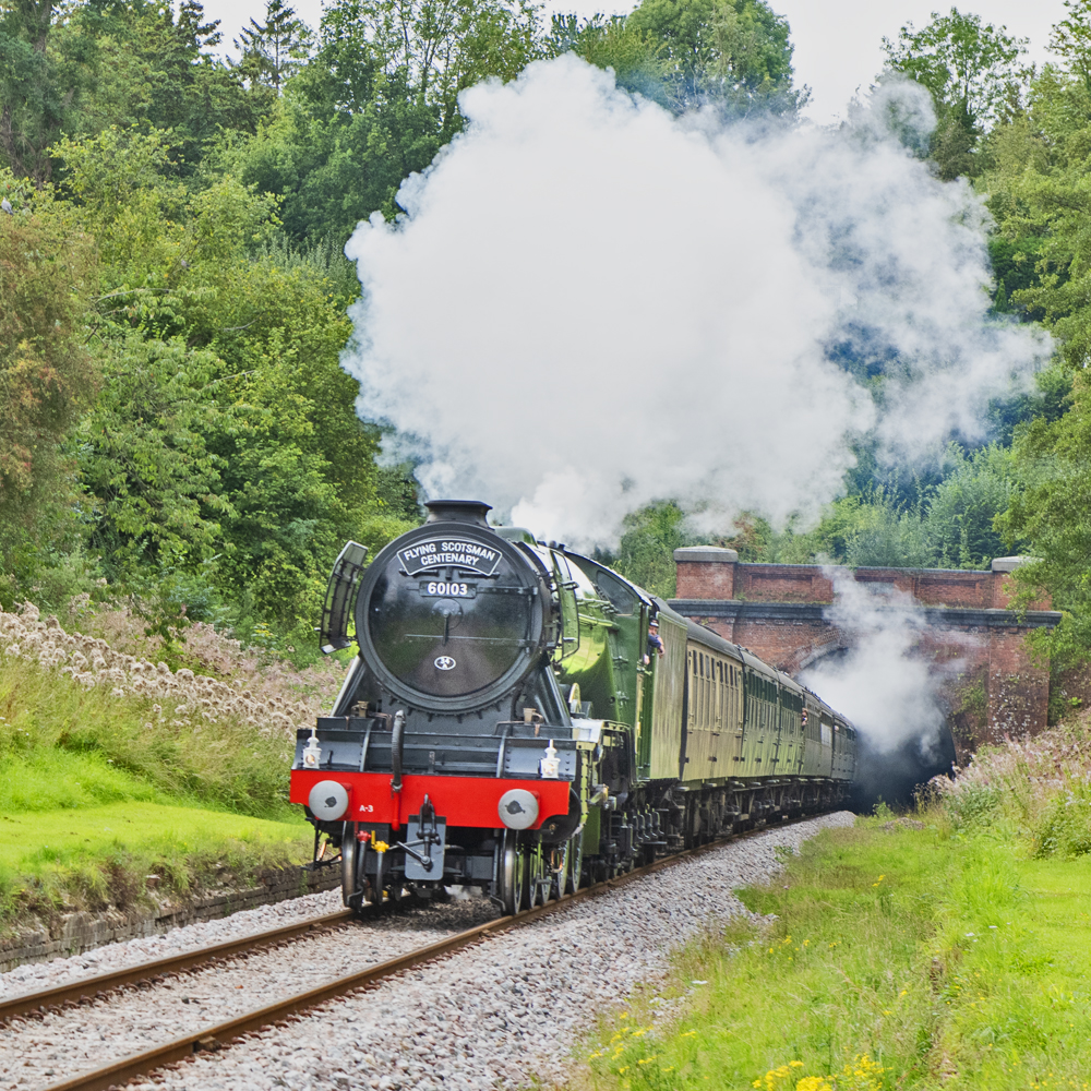 Green British steam locomotive emerging from a tunnel with a passenger train
