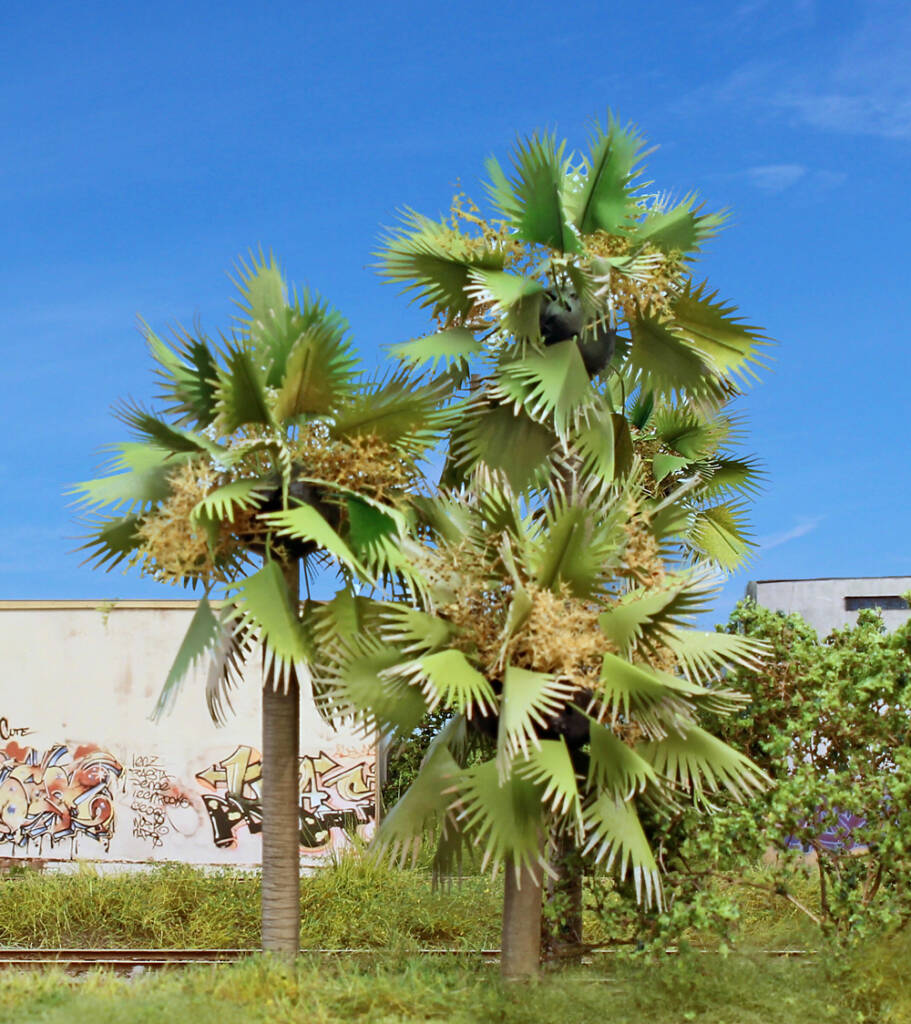 Photo of three palm trees on an HO scale layout