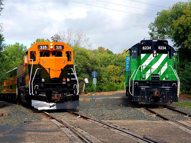 diverging railroad lines form a y-shaped junction in the woods. An orange diesel occupies the left track, a green and white diesel the one on the right.