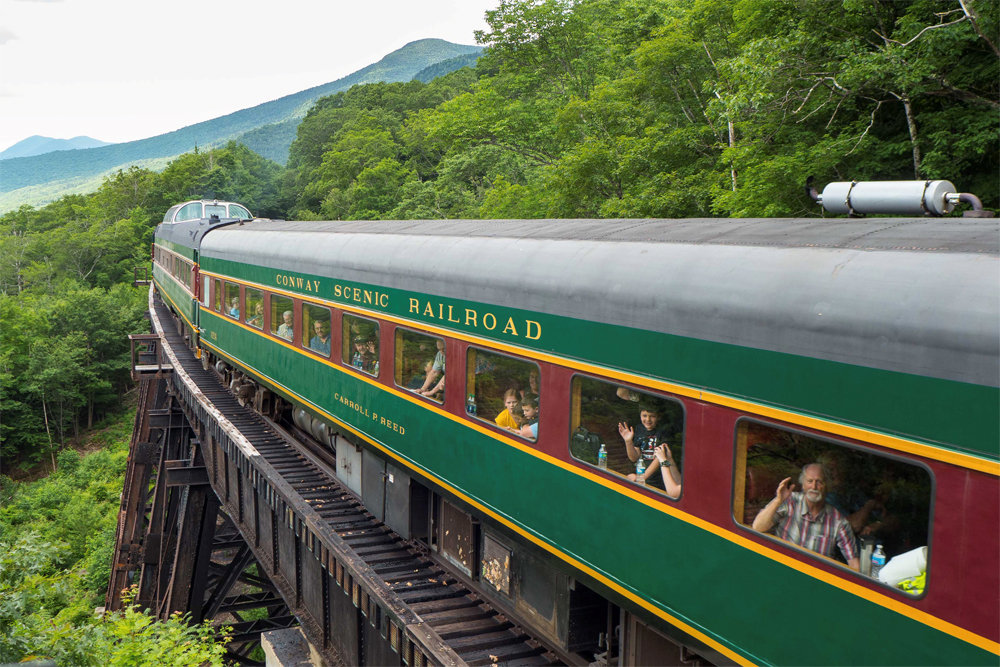 Green and brown passenger on bridge