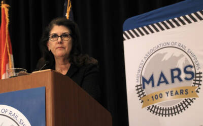 MARS notebook: Dealing with the border