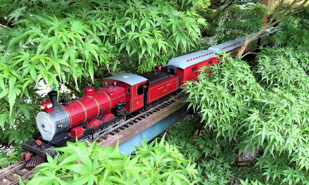 red model engine running through trees