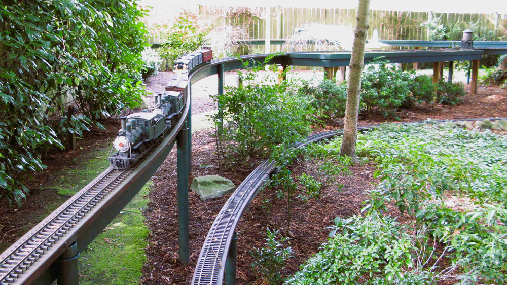 scene with locomotive on garden railway