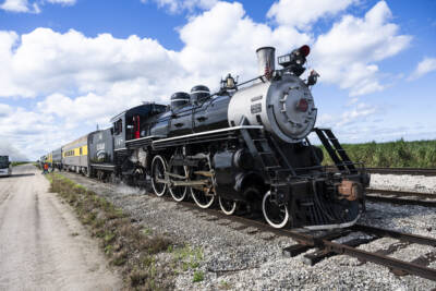 Train influencer tours sugarcane fields via ‘Sugar Express’