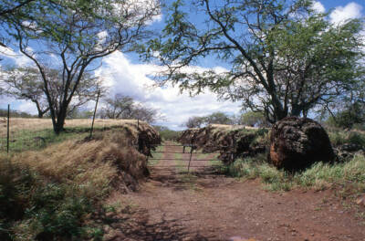 The ghosts of Hawaiian railroading past: Abandoned railroads never fully disappear