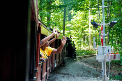 Visiting the Milwaukee County Zoo Safari Train