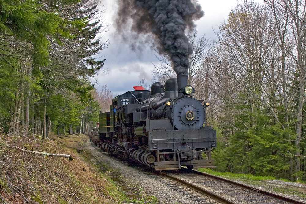 black steam locomotive on track in woods