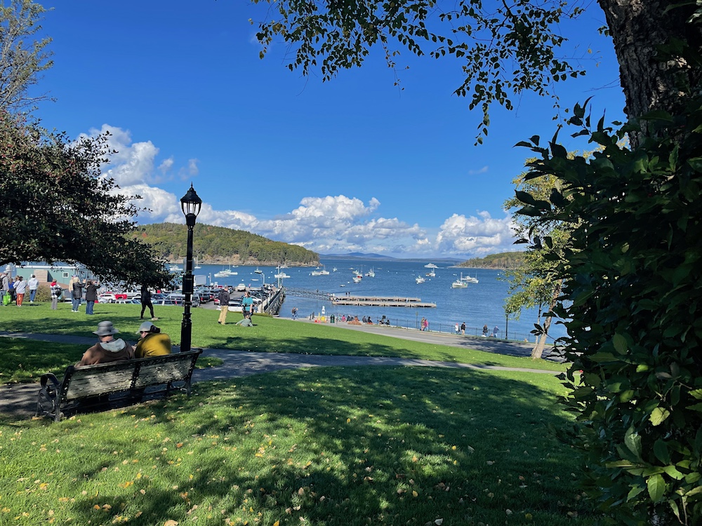 Green grass in the foregroun overlook a blue bay dotted with white boats on a sunny day