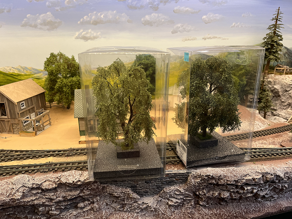 Two highly detailed model trees about 12 inches tall each with fine brown bark and green twigs in two clear rectangular boxes. 