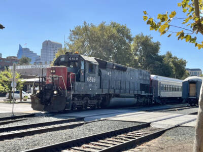 Three holiday trains involved in minor mishaps