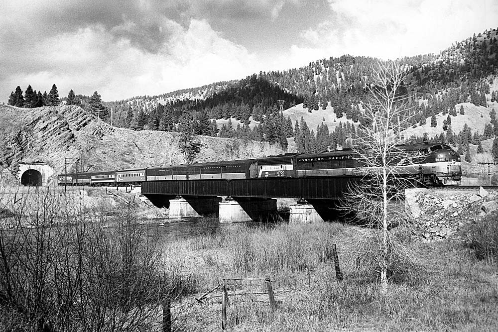 Three streamlined diesel locomotives with passenger train on bridge behind tree