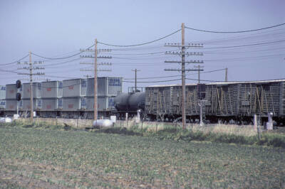 Livestock shipments and railroads grew together