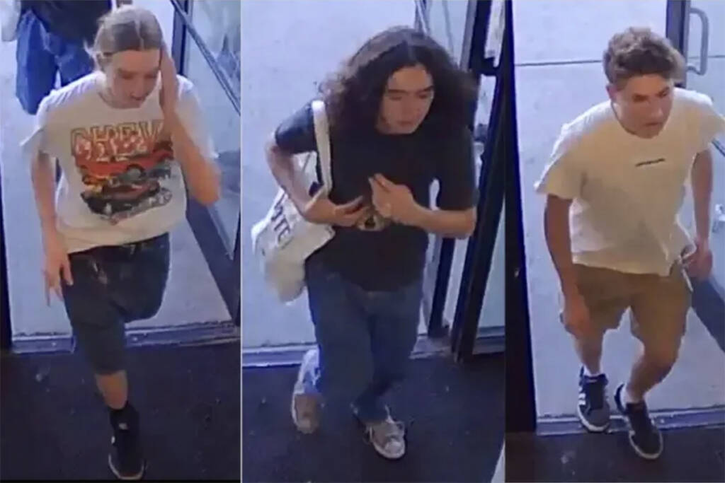 Surveillance camera photos of three people