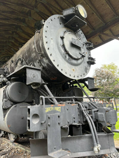 Western Maryland No. 202 will remain in city park