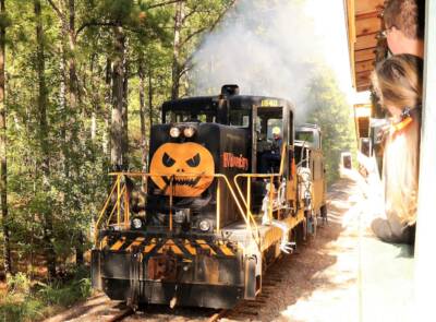 Halloween-themed excursions scheduled on New Hope Valley Railway