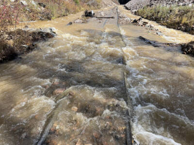 Durango & Silverton operations suspended by flooding